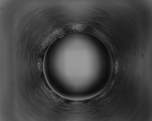 X0000051860424200507012345