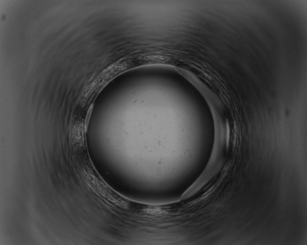 X0000051860425200507012345