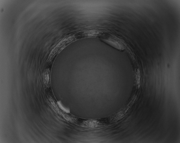 X0000051860427200507012345