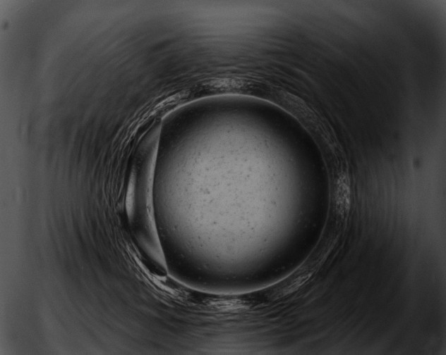 X0000051860428200507012345