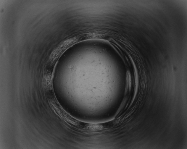 X0000051860429200507012345