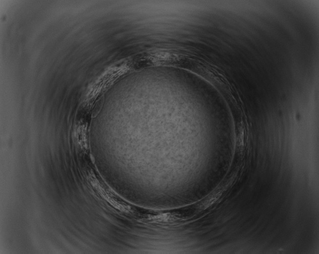 X0000051860430200507012345