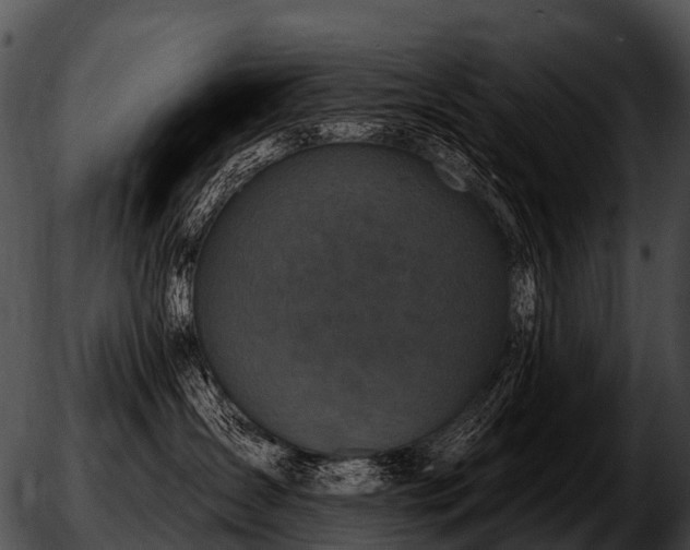 X0000051860431200507012345