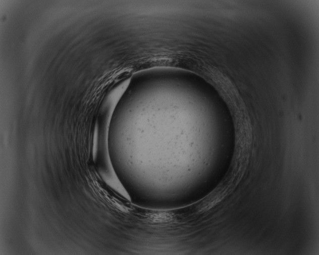 X0000051860432200507012345