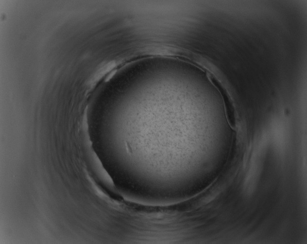 X0000051860433200507012344