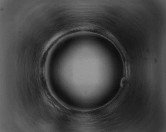 X0000051860435200507012344