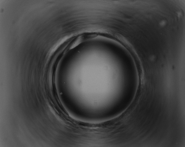 X0000051860436200507012344