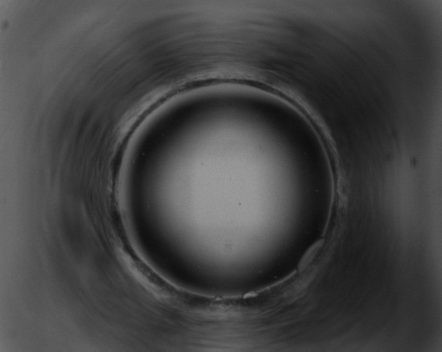 X0000051860437200507012344