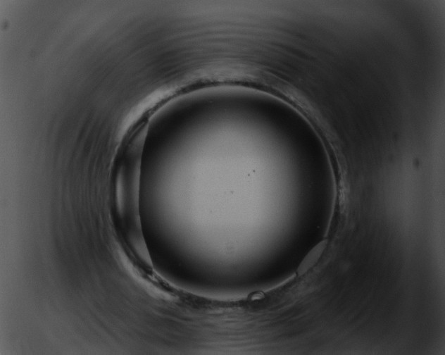 X0000051860438200507012344