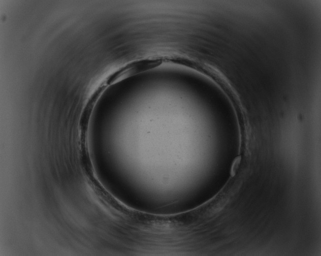 X0000051860439200507012344