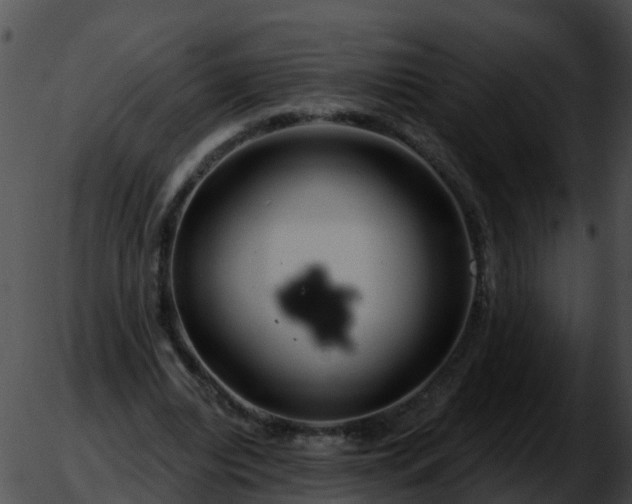 X0000051860440200507012344