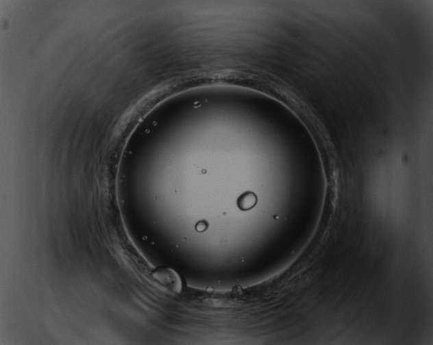 X0000051860442200507012344