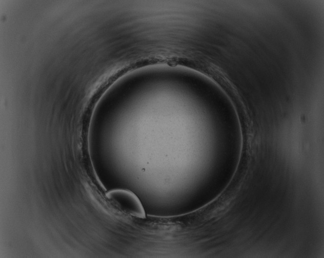 X0000051860443200507012344