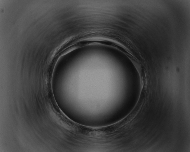 X0000051860444200507012344