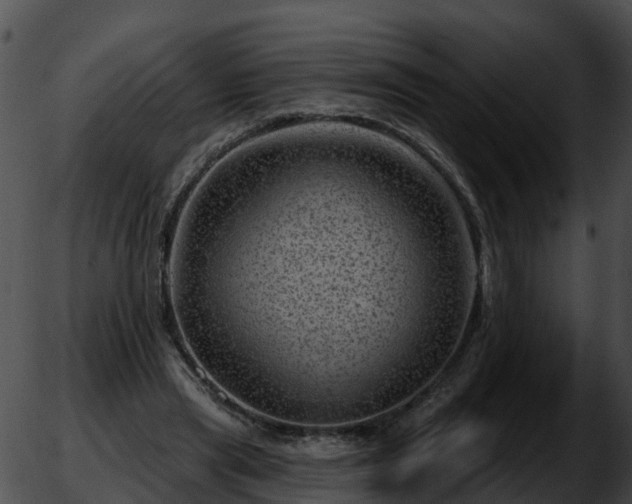 X0000051860445200507012344