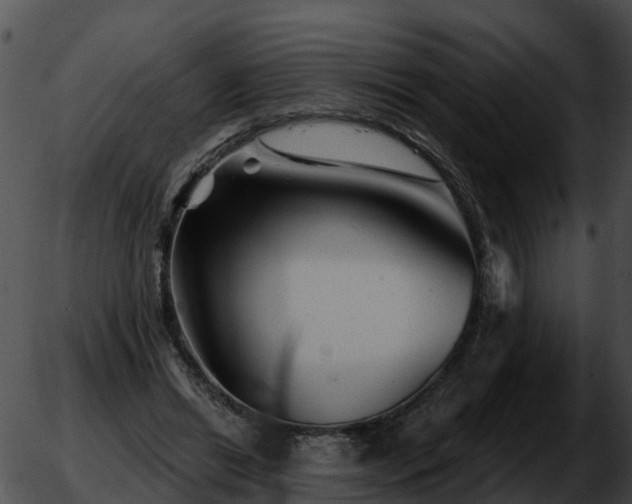 X0000051860446200507012344