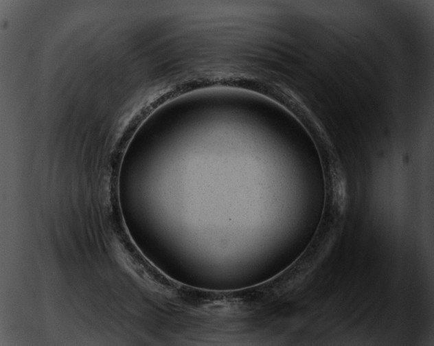 X0000051860447200507012344