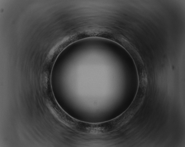 X0000051860448200507012344