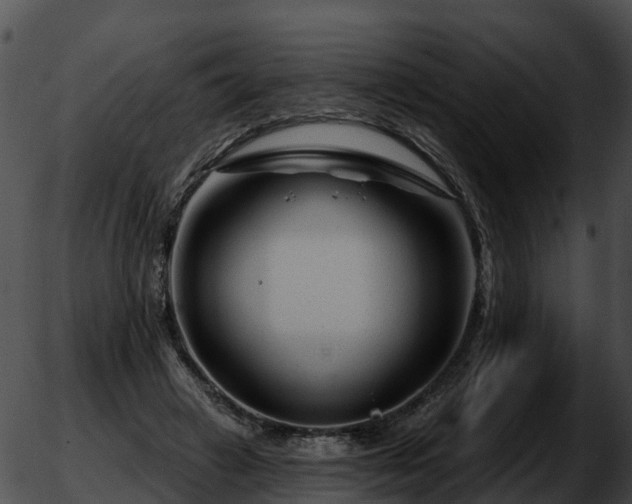 X0000051860449200507012344