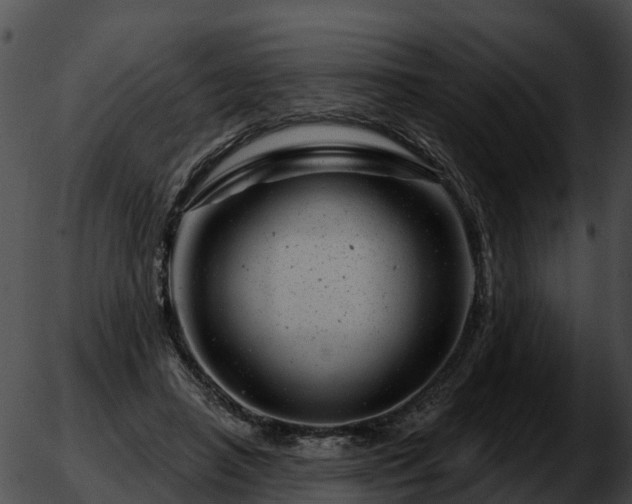 X0000051860450200507012344