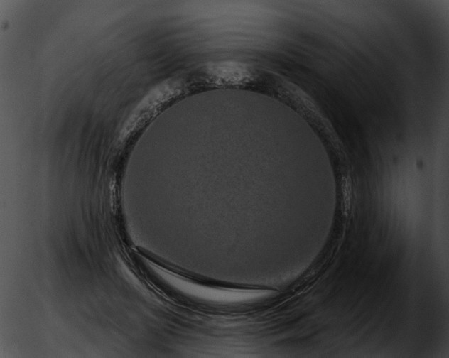 X0000051860451200507012345