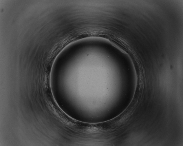 X0000051860453200507012345