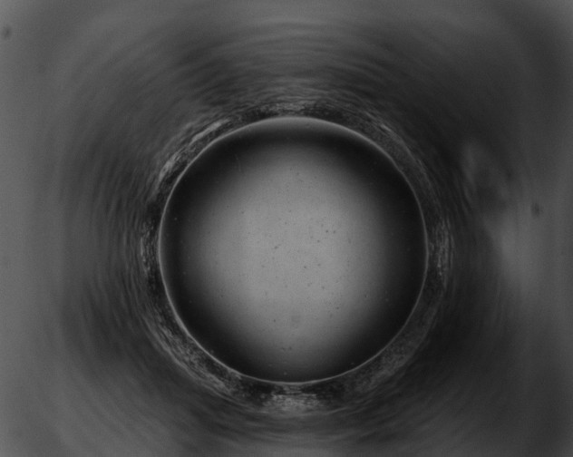 X0000051860455200507012345