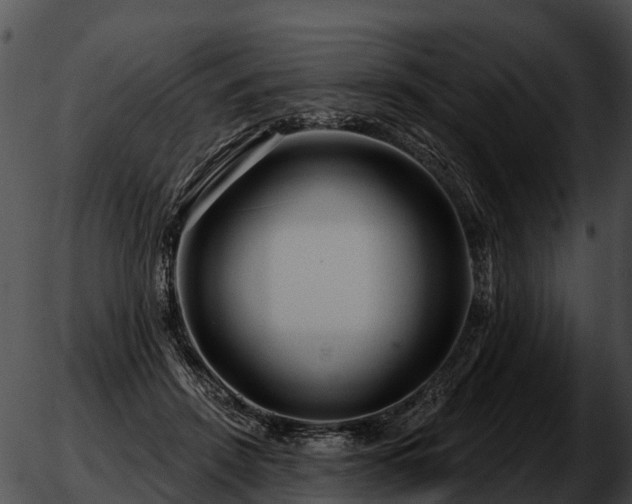 X0000051860456200507012345