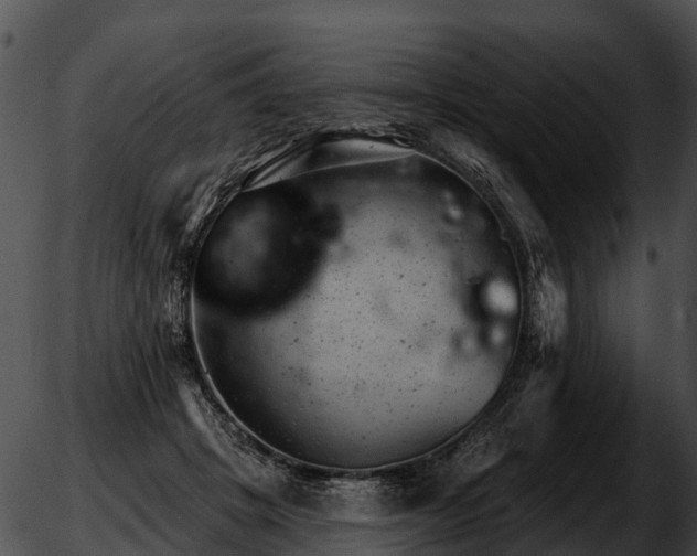 X0000051860457200507012345