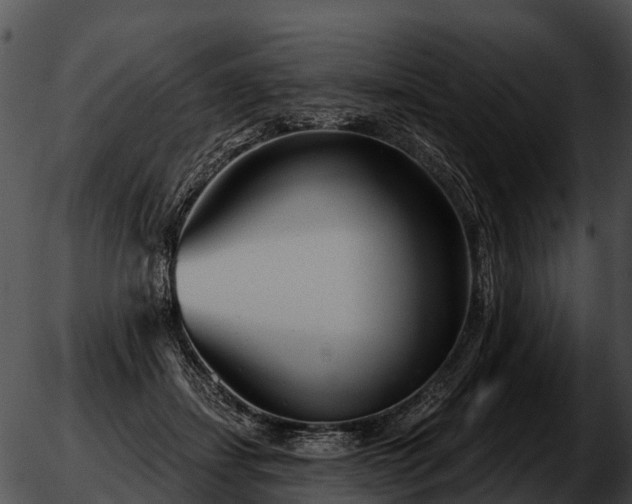 X0000051860459200507012345