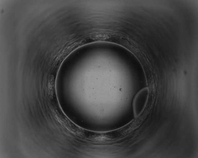 X0000051860460200507012345