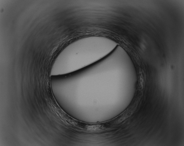 X0000051860461200507012345