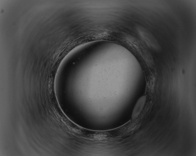 X0000051860462200507012345