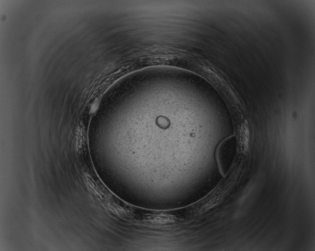 X0000051860463200507012345