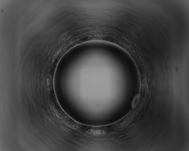 X0000051860464200507012345