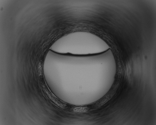 X0000051860465200507012345