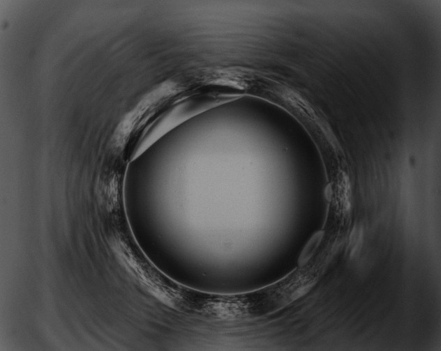 X0000051860466200507012345