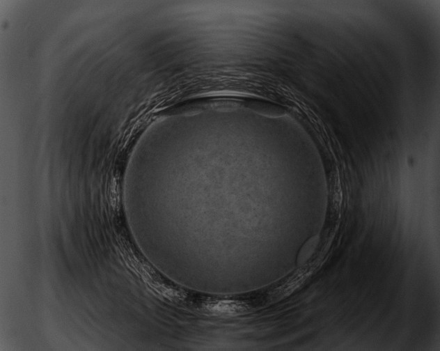 X0000051860467200507012345