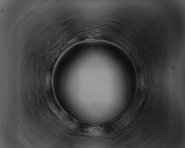 X0000051860468200507012345