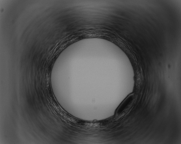 X0000051860469200507012345