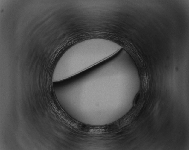 X0000051860470200507012345