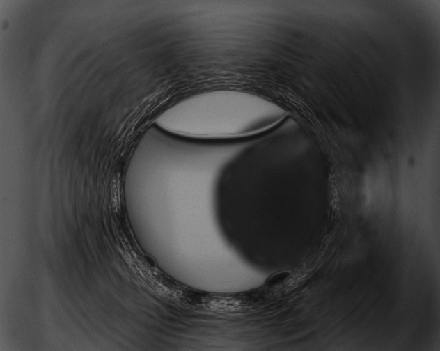 X0000051860471200507012345