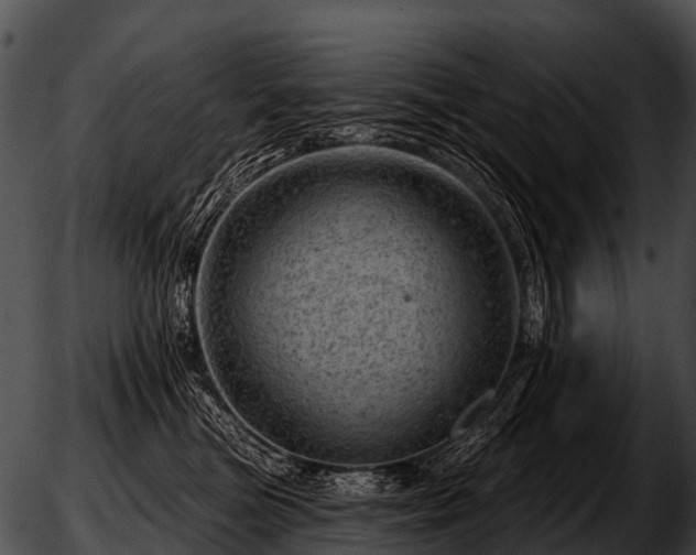 X0000051860473200507012345