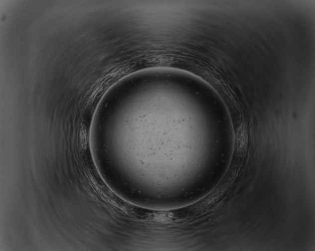 X0000051860474200507012345