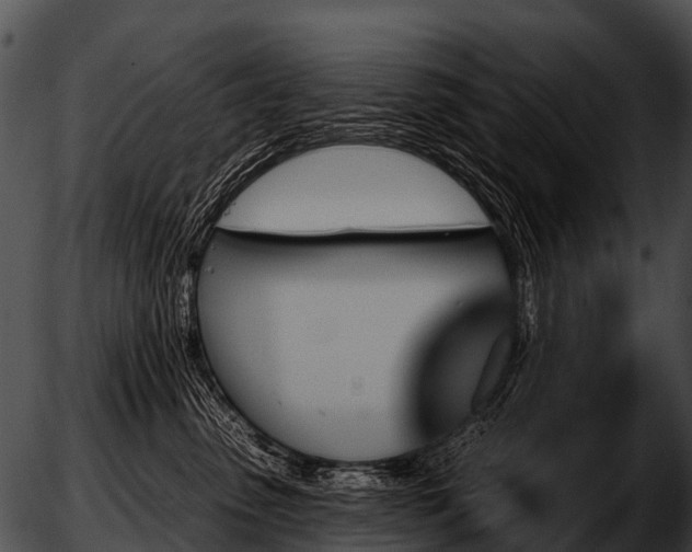 X0000051860475200507012345