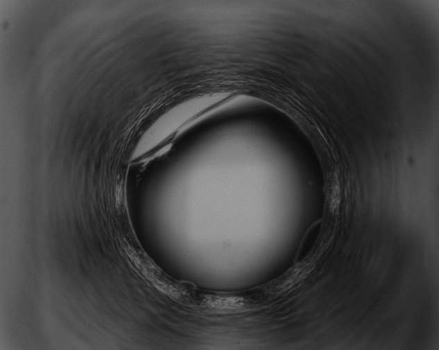 X0000051860476200507012345