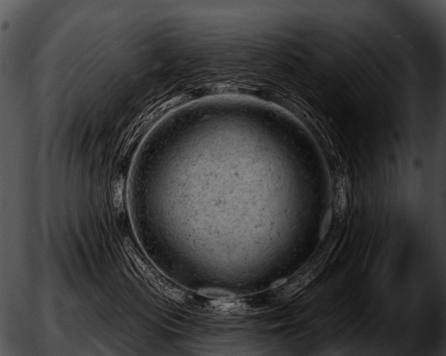 X0000051860477200507012345