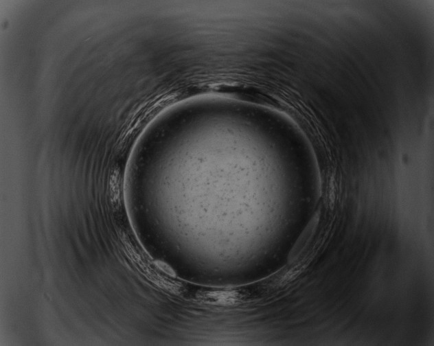 X0000051860478200507012345