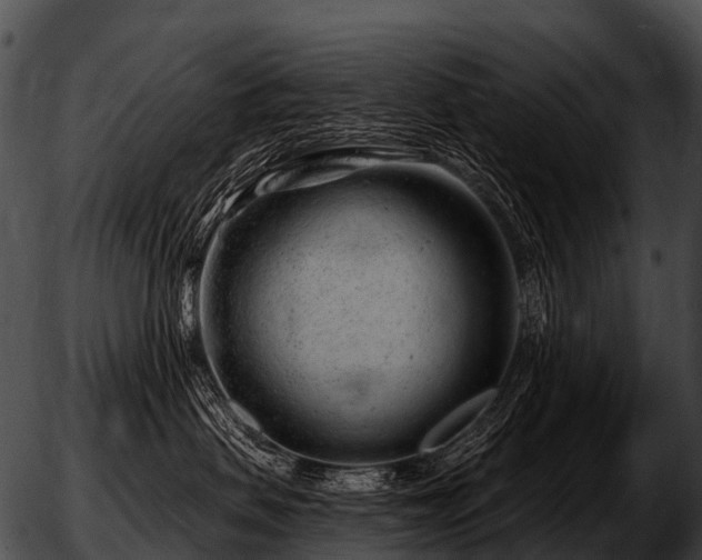 X0000051860479200507012345