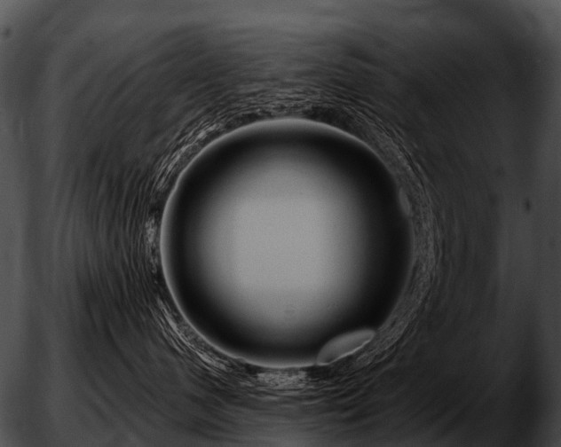 X0000051860480200507012345